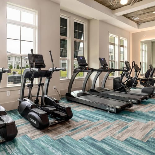  Treadmills at Hudson Carolina Forest in Myrtle Beach, South Carolina
