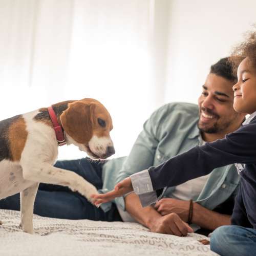 Happy kid playing with his dog at Kings Gate Apartments / King James Apartments in Vancouver, Washington