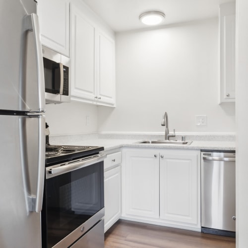 Beautiful kitchen at Lyford Apartments in Tiburon, California
