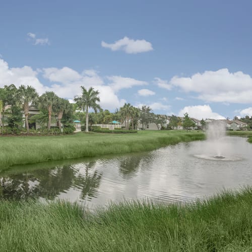 A water feature and grass at Vero Green in Vero Beach, Florida