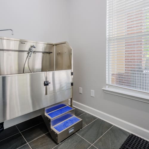 Pet washing station at The Avalon in Charlotte, North Carolina