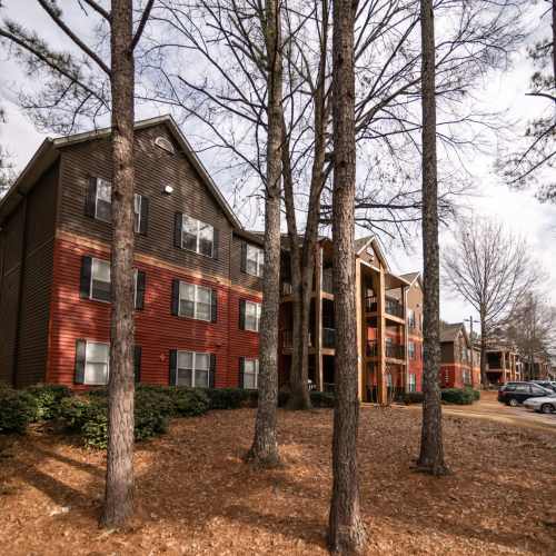 Trees outside an apartment building at Flats At Riverview in Duluth, Georgia