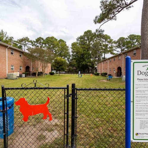Dog park at The Jaunt in Charleston, South Carolina