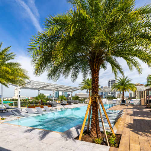 Rooftop pool at The Station at San Marco in Jacksonville, Florida
