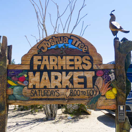 a man looking at a shirt to buy near  Sunflower Terrace in Twentynine Palms, California