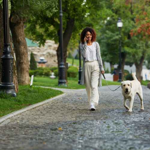 Resident walking her dog at Zinc 1501 in Sacramento, California