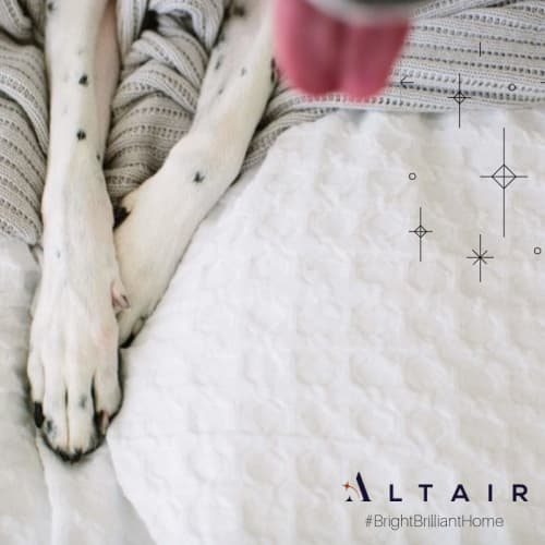 Pet-friendly at  Altair At The Preserve in O'Fallon, Missouri