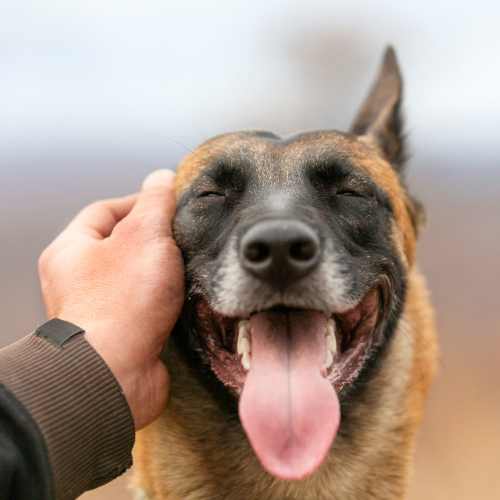 Resident friends shopping near Bristle Pointe Apartments in Reno, Nevada