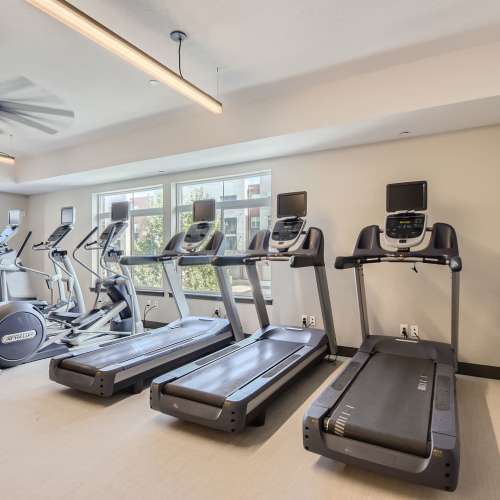 Treadmills in the fitness center at Elevation @ County Line Station in Englewood, Colorado