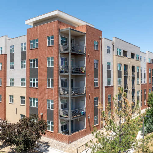 Trees lining the building at Elevation @ County Line Station in Englewood, Colorado