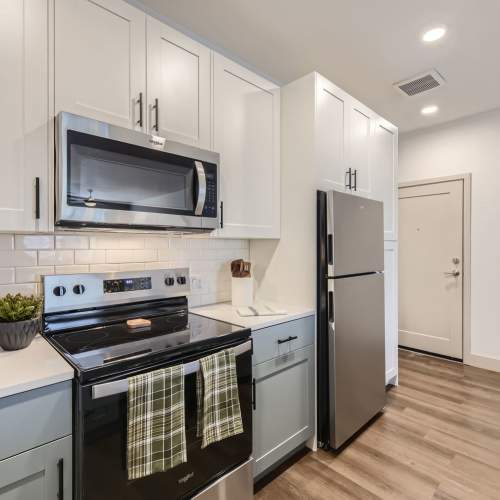 Stainless-steel appliances in a home at Sorella in Denver, Colorado