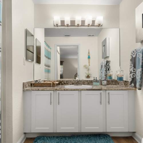 Bathroom vanity at Emerald Palms in Miami, Florida