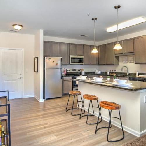 Modern kitchen with wooden cabinets, stainless-steel appliances and granite countertops at 10 Newbridge in Asheville, North Carolina