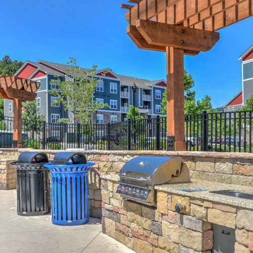 Outdoor BBQ area at 10 Newbridge in Asheville, North Carolina