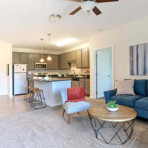 View of the living room and kitchen at 10 Newbridge in Asheville, North Carolina