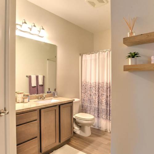 Bathroom with a toilet and a large mirror at 10 Newbridge in Asheville, North Carolina
