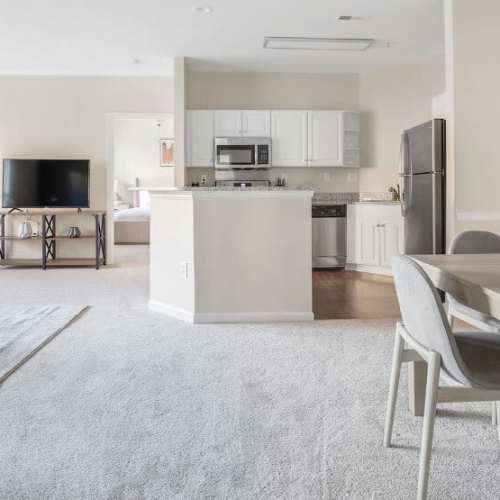Open-concept kitchen and living area with plush carpeting at Village at Lake Wylie in Lake Wylie, South Carolina