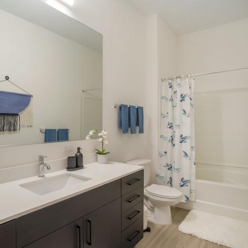 Apartment bathroom at The Oliver in Charlotte, North Carolina