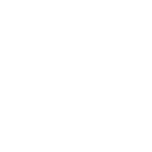 Dollar General logo
