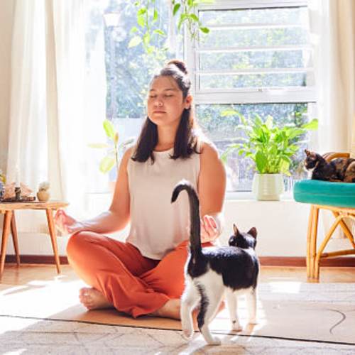 Resident doing yoga in her apartment at Archer Medical District in Dallas, Texas