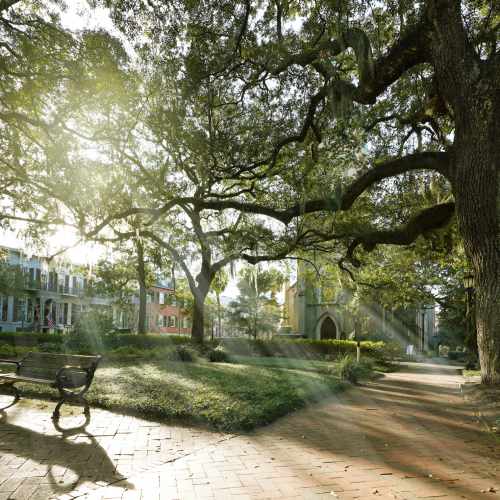 A luscious park with benches and trees near The Lowe in Savannah, Georgia