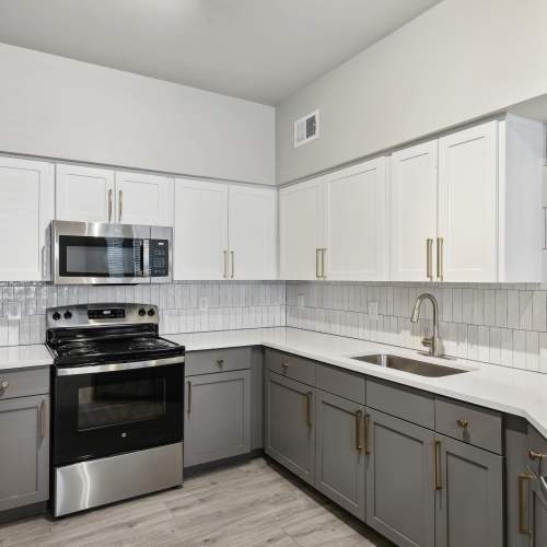 Kitchen with quartz countertop at Collier in Pflugerville, Texas 