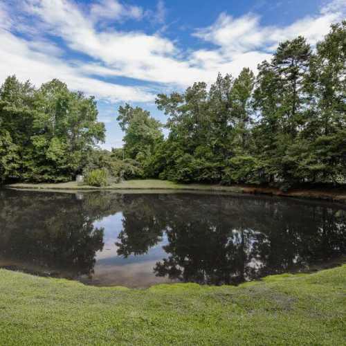 Fishing pond at Sabal Palms in Charleston, South Carolina