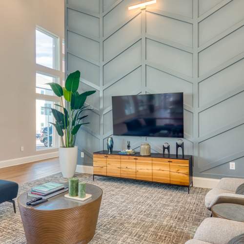 Clubhouse with large television at The View at Blue Ridge Commons in Roanoke, Virginia