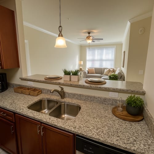 Kitchen with breakfast bar and modern finishes at Rosewood at Clemson in Central, South Carolina
