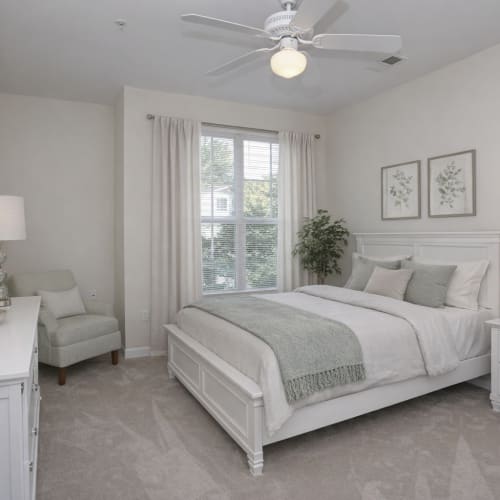 Apartment bedroom with large windows and natural light at Avalon of Wilmington in Wilmington, North Carolina