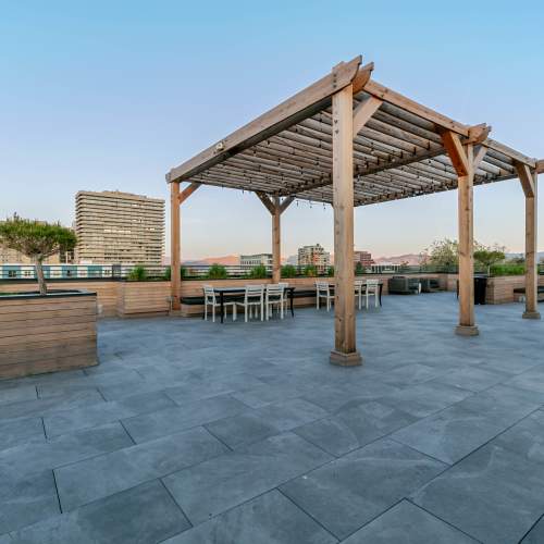 Dog and cat staring outside from a window at Eden Tower Apartments in Reno, Nevada