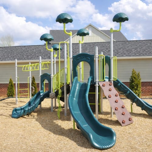 Community playground for residents and families at Ballantyne Commons of Simpsonville in Simpsonville, South Carolina