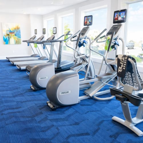 Modern fitness center with exercise equipment at Belle Meade in Wilmington, North Carolina