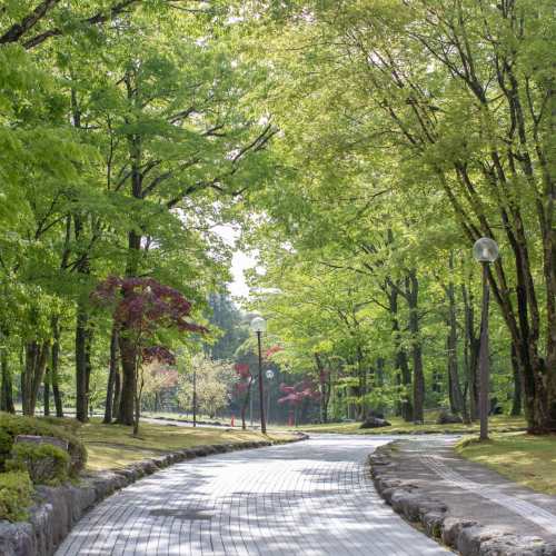 Walking trail in park near Willow Commons Apartments in Erie, Pennsylvania