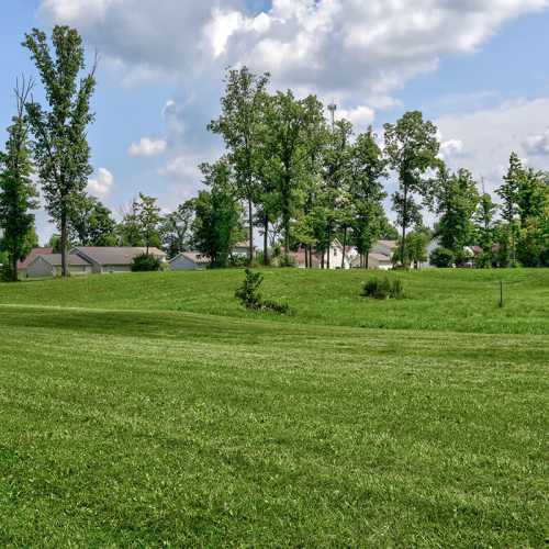 Lush green lawn with trees and homes near Chartwell Greene in Mount Gilead, Ohio