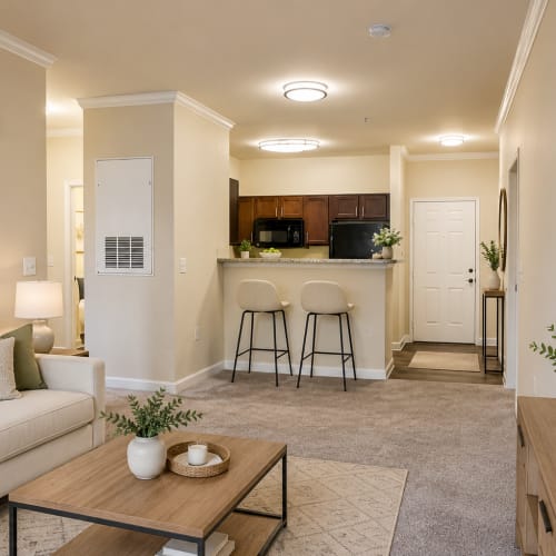 Spacious bedroom with large windows at Commons at Fort Mill in Fort Mill, South Carolina