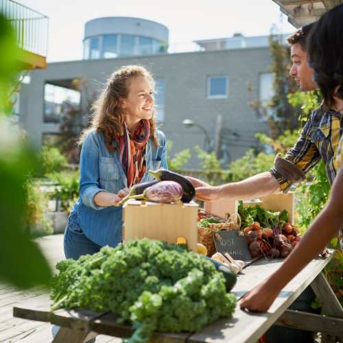 Resident buying vegetables at Providence Estates in San Antonio Texas