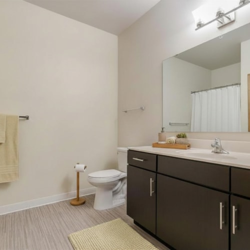 Apartment bathroom at Eva Manor in Pleasant Prairie, Wisconsin