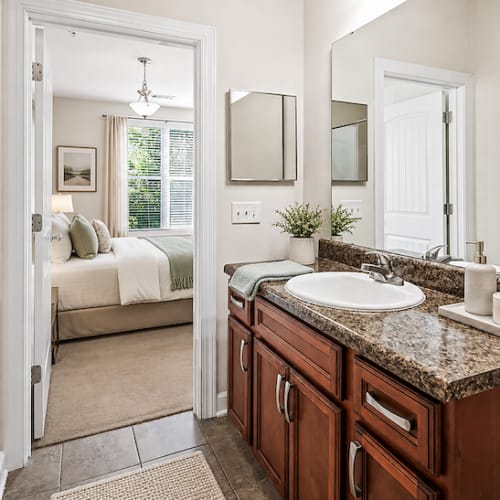 Bathroom with wooden cabinetry at Dilworth in Asheville,North Carolina