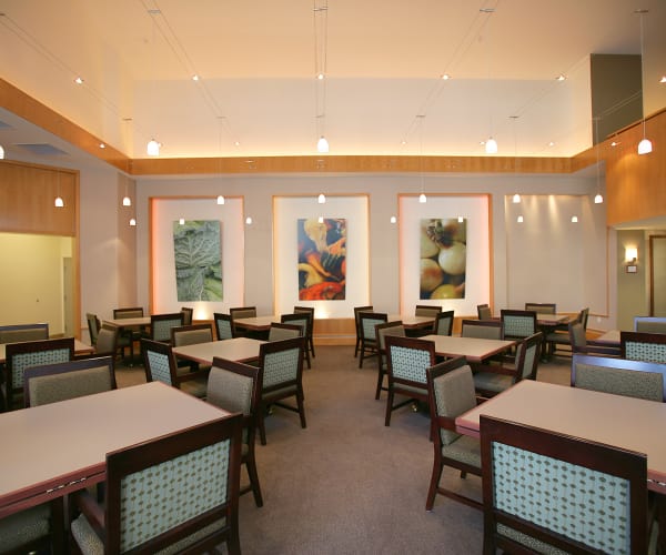 Bright dining room at All Seasons Rochester Hills in Rochester Hills, Michigan