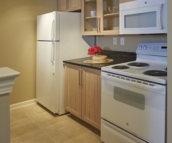 Rochester Hills Mi Senior Living All Seasons Of Rochester Hills