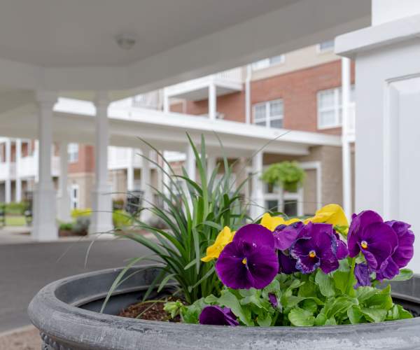 The Harmony Collection at Roanoke - Memory Care senior living in Roanoke, Virginia