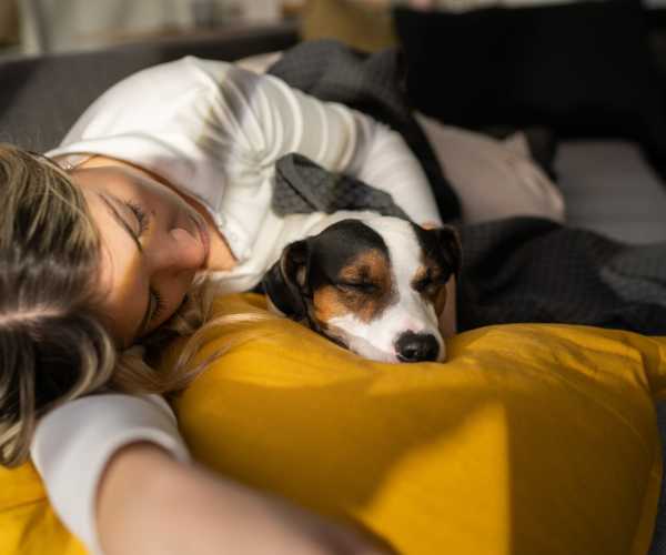 Pet-friendly at The Abbey at Willowbrook in Houston, Texas
