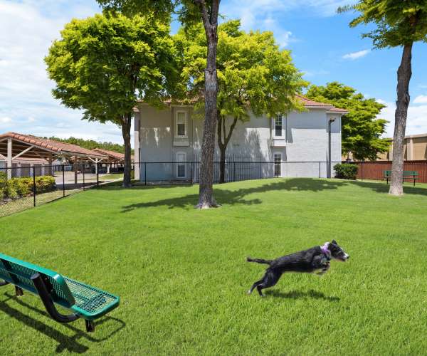 A dog in a dog park at Estates on Frankford