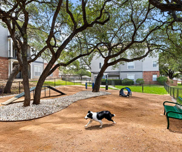 Dog Park at The Estates of Northwoods