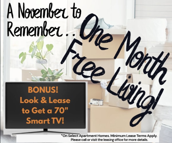 The Palm On SPID ONE MONTH FREE On Select Units! Limited Availability **Discount applies after first full months rent.