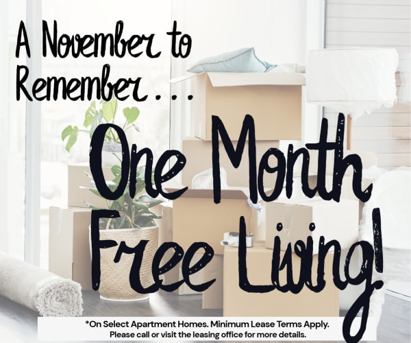 Lockwood Heights ONE MONTH FREE On SELECT FLOORPLANS! Limited Availability - Act Fast!  **Discount applies after first full months rent.