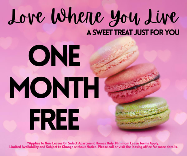 Park At Woodmoor Apartments ONE MONTH Free on Select Units -Limited Availabili ty - Act Fast!