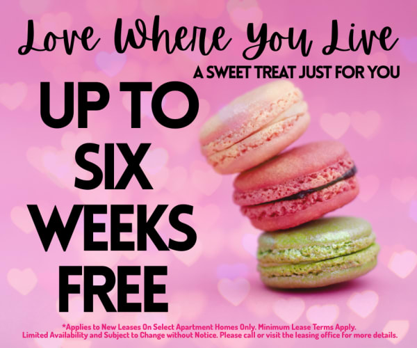 The Hilltop Apartment Homes One Month Free. Discount applies after first full months rent.