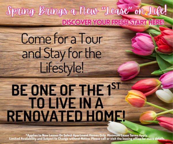 Northside Heights Come for a tour and see what savings there are. Limited Availability - Act Fast! **Discount applies after first full months rent. 